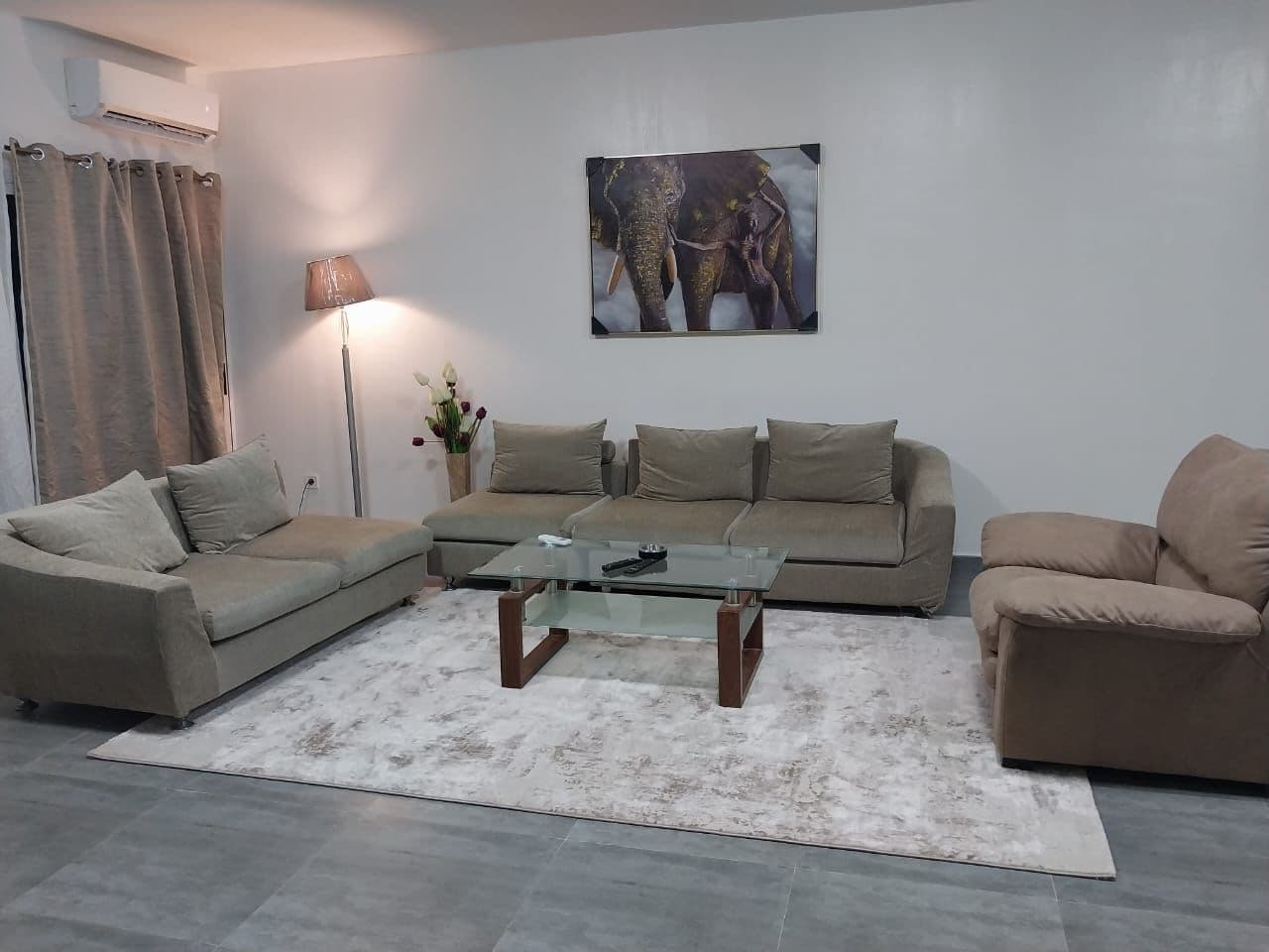 Second salon aux canapés gris et tapis clair